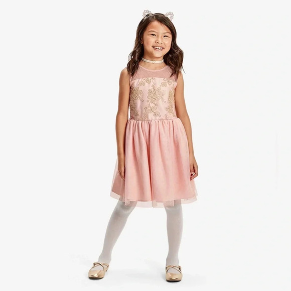 NWT THE CHILDREN’S PLACE Girls Embroidered Lace Dress Gold Beading Pink - Picture 1 of 8